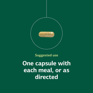 Standard Process Ostarplex - Dietary Supplement for Connective Tissue Health - Aids Liver Health & Function - Contains Vitamin B6 - Non-Dairy - 90 Capsules (90 Servings) Standard Process Inc.Buy Supplements Australia