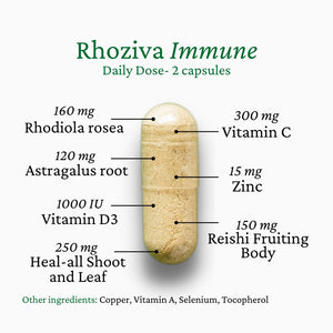 Immune Support, Energy Booster with Vitamin C, D3 and Zinc Supplement, Rhodiola Rosea, Reishi Mushroom Extract, Astragalus, Overall Wellness and Daily Habit - 60 Capsules Rhoziva buy supplements Au