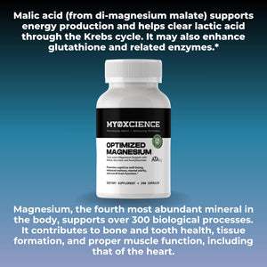 MYOXCIENCE Optimized Magnesium Glycinate + Magnesium Taurate (as ATAmag®) for High Brain Bioavailability to Support Stress Relief and Sleep | 80 Servings MYOXCIENCE buy supplements Au