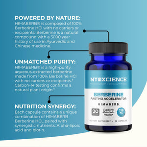 MYOXCIENCE Berberine Fasting Accelerator | Himaberb Berberine HCL with ALA (Alpha Lipoic Acid) and Biotin (90 Capsules) MYOXCIENCE buy supplements Au