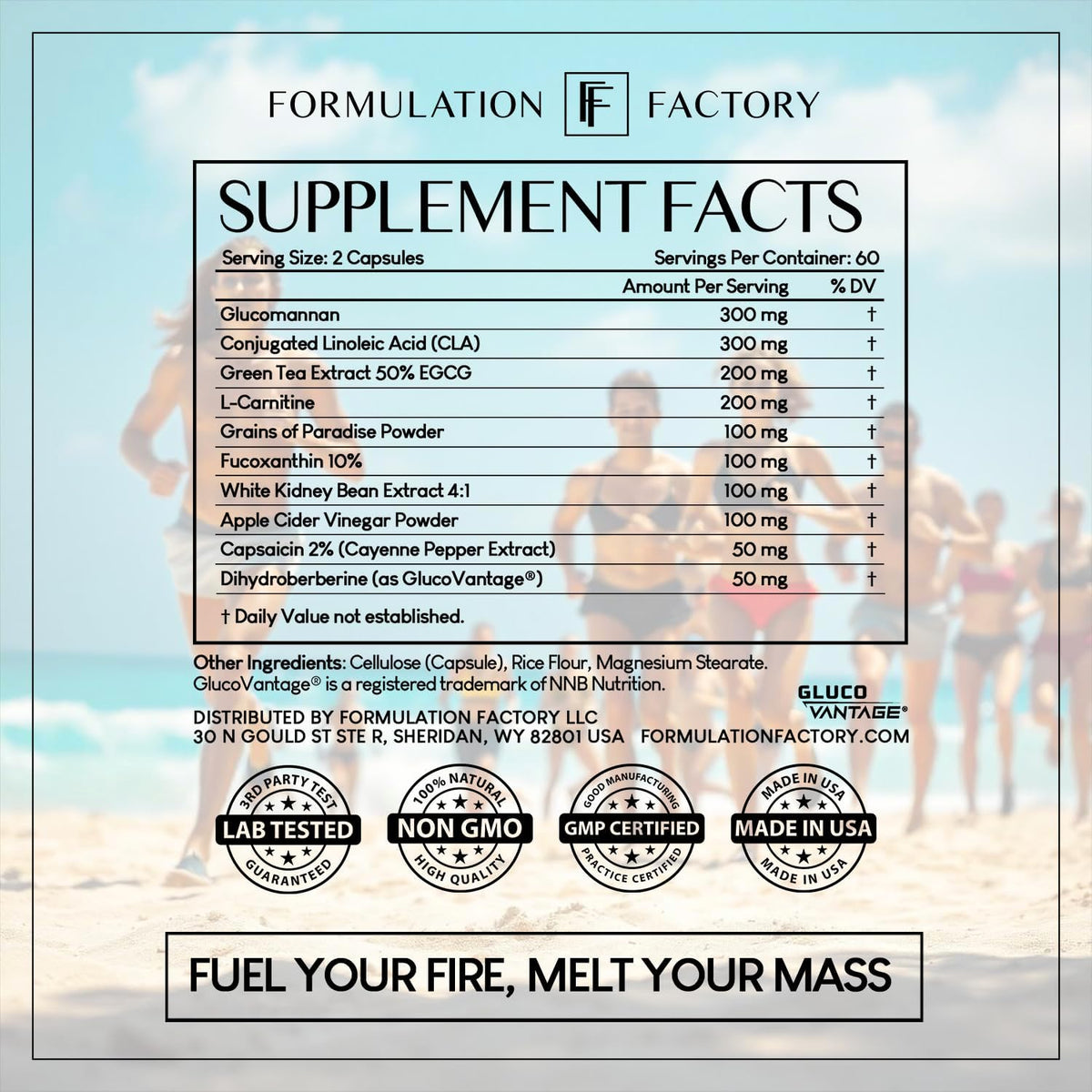 Formulation Factory Heart of Steel x Melt Mode (Bundle)