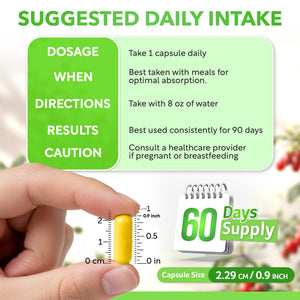 Dalnara Dihydroberberine Capsules 250mg, 60 Count - Supports Metabolic Wellness & Balanced Energy, Non-GMO,Dihydroberberine Supplement DalnaraBuy Supplements Australia