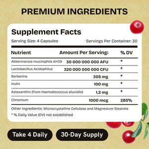 Akkermansia Muciniphila Probiotics 320 Billion CFU| Probiotic and Prebiotic | Akkermansia Probiotics for gut health | Inulin Prebiotic Fiber Capsules Astaxanthin & Berberine & Chromium | 120 capsules Stanis Labs buy supplements Au