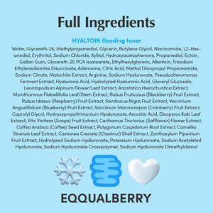 Suplement EQQUALBERRY Hyaltoin Flooding Toner | Moisture-Rich Hydrogel Toner for Deep Hydration | Cooling Essence Texture | Hyaluronic Acid & Ectoin - VelvetGlow USA