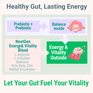 Pine Bark Extract L-Arginine L-Citrulline Beetroot Probiotic Fiber Methylated B Complex Zinc Gummies for Women Men Adults Kids w. Chicory Root Inulin 5-MTHF B6 P5P Powder Capsule Pill Supplement Alt SHIZAMBuy Supplements Australia