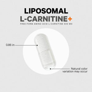 Codeage Liposomal L-Carnitine+ Supplement - 500 mg L-Carnitine L-Tartrate per Serving - Free-Form Amino Acid - Carnitine - Liposomal Delivery - Vegan, Non-GMO, Gluten-Free - 90 Capsules CodeageBuy Supplements Australia
