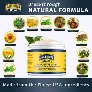 Amish Origins Arthritis Pain Relief Cream - 3.5 oz - Maximum Strength Deep Penetrating for Joint, Muscle, Knee, Back, Feet, Hand, Ankle, Aches, 1 Pack Amish OriginsBuy Supplements Australia