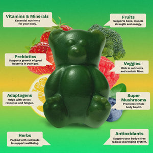 Gruns Adults Super Greens Gummies, Multivitamin Superfood Gummy Bears, Spirulina, Chlorella, Prebiotics & Fiber Gummies for Digestive Health, Adaptogens Supplement, 20 Vitamins & Minerals, 10 Count Grüns buy supplements Au