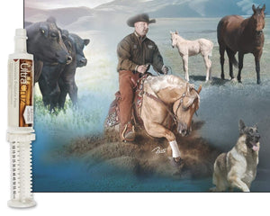 60 ml, Paste, 4 Day Supply UltraCruz buy supplements Au