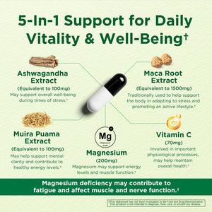 Caffeine Free Natural Energy Boost with Ashwagandha, Maca & Magnesium - Support Stress Relief, Focus & Mood - 60 Capsules by Innervis Nutrition INNERVISNUTRITIONBuy Supplements Australia