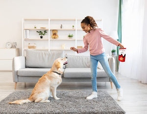 Nordic Catch Freeze Dried Fish Pet Treats from Iceland - Pure, All Natural Seafood Snacks for Dogs, Cats and Other Pets - Human Safe Ingredients, Made from Sashimi Grade Seafood - White Fish Nordic CatchBuy Supplements Australia