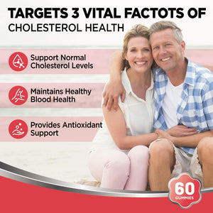 HOLLEGEND Cholesterol Gummies Sugar-Free,12-in-1 Cholesterol Supplements with Plant Sterols,Citrus Bergamot,CoQ10 and Vitamins for Cholesterol Health, Vegan, Mixed Berry Flavor, 60 Counts HOLLEGENDBuy Supplements Australia