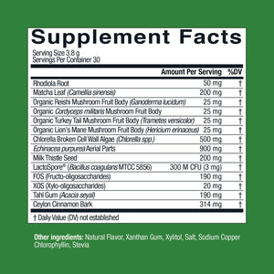 Live Conscious Beyond Greens Superfood Powder - Delicious Debloating Super Greens Powder - Matcha Greens Blend w/Chlorella, Echinacea, Probiotics for Immune Support & Energy Live ConsciousBuy Supplements Australia