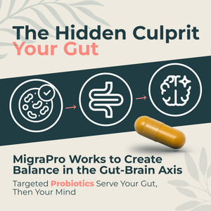 Dr. Munnerlyn MigraPro with Probiotics, Brain and Gut Health Support Supplement with Magnesium, Riboflavin, CoQ10, Ginger Root, Asian Ginseng, Vitamin C, Feverfew & Turmeric, Gluten Free, 90 Capsules Dr. MunnerlynBuy Supplements Australia