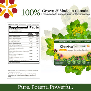 Immune Support, Energy Booster with Vitamin C, D3 and Zinc Supplement, Rhodiola Rosea, Reishi Mushroom Extract, Astragalus, Overall Wellness and Daily Habit - 60 Capsules Rhoziva buy supplements Au