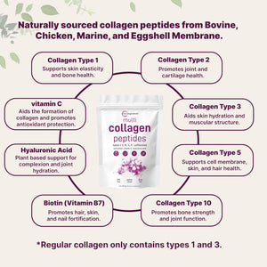 Suplement Micro Ingredients Multi Collagen Peptides Powder, 1lb – Hydrolyzed Type I,II,III,V,X with Biotin, Hyaluronic Acid, Vitamin C – Unflavored Collagen - VelvetGlow USA