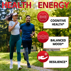 DEDICAD 9in1 Cortisol Supplement - Ashwagandha and Magnesium Glycinate and Chelate - Brain Health & Restful Night & Mood Balance - 90 Capsules Supply 45 Days DEDICADΒ buy supplements Au