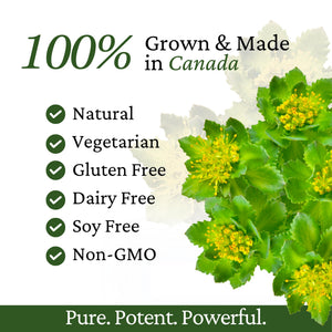 Immune Support, Energy Booster with Vitamin C, D3 and Zinc Supplement, Rhodiola Rosea, Reishi Mushroom Extract, Astragalus, Overall Wellness and Daily Habit - 60 Capsules Rhoziva buy supplements Au