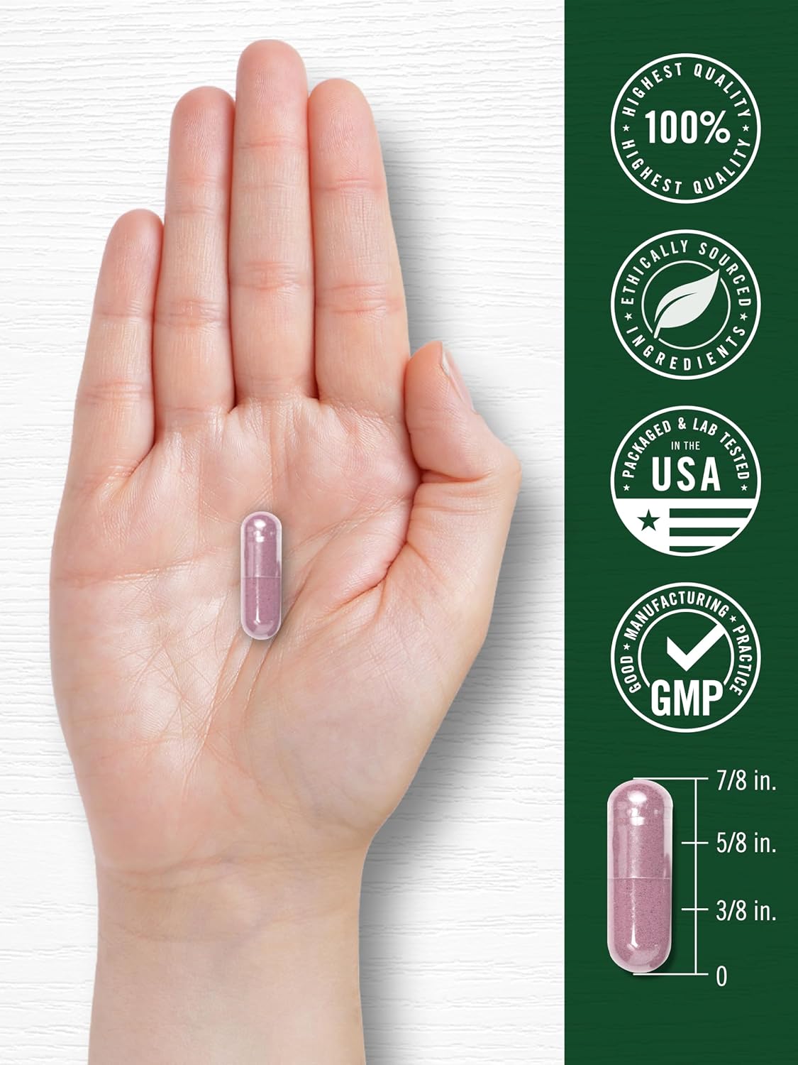 Carlyle Tart Cherry Capsules | 200 Pills | Max Potency | Non-GMO, Gluten Free | Tart Cherry Juice Extract