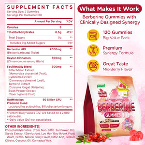 2000mg Liposomal Berberine Supplement Gummies | High Potency Berberine HCI Activates AMPK with Ceylon Cinnamon | Advanced Absorption | Zero Sugar Mixed-Berry | 120 Count Myrtaverde buy supplements Au