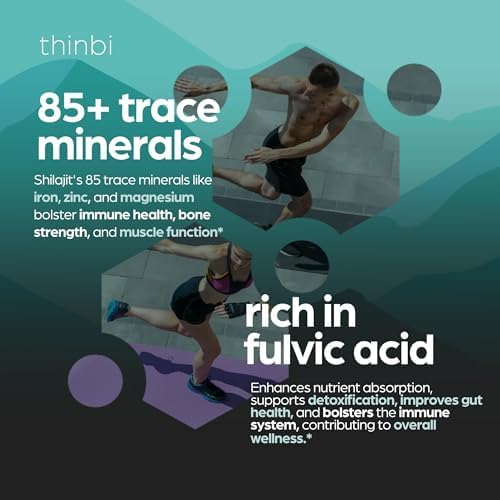 Thinbi Himalayan Shilajit Capsules, 90 Count
