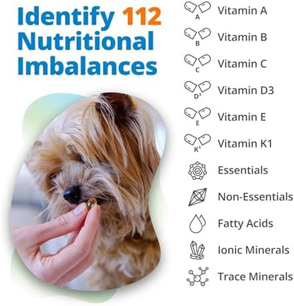 5Strands Raw & Fresh Pet Food Intolerance & Nutritional Imbalance Test, At Home Hair Analysis for Dogs & Cats, Identify Dietary Stressors & Nutrient Gaps, Results in 4 Days