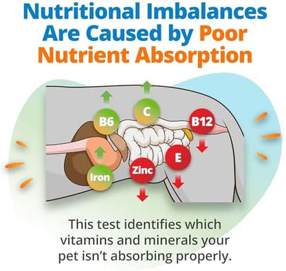5Strands Raw & Fresh Pet Food Intolerance & Nutritional Imbalance Test, At Home Hair Analysis for Dogs & Cats, Identify Dietary Stressors & Nutrient Gaps, Results in 4 Days