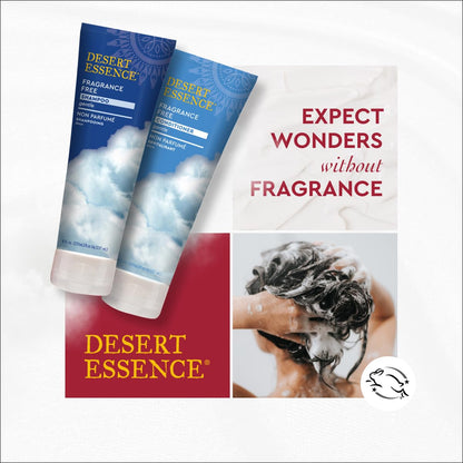 Desert Essence Fragrance Free Shampoo with Jojoba and Green Tea, 8 fl oz