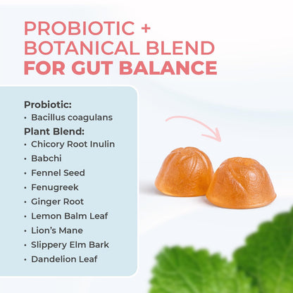 Nature’s NutriWave PrimeBiome Probiotic Gummies – Plant-Based Blend with Inulin, Lion’s Mane, Ginger & More– Non-GMO, No Stimulants, GMP Certified – 30 Gummies, 6 Month Supply Nature’s NutriWave buy supplements Au