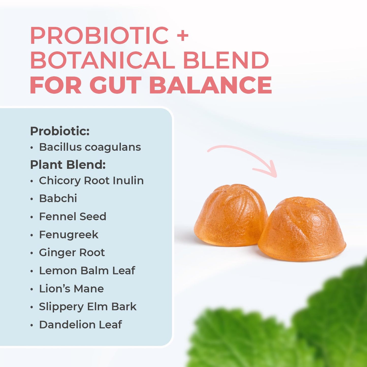Nature’s NutriWave PrimeBiome Probiotic Gummies – Plant-Based Blend with Inulin, Lion’s Mane, Ginger & More– Non-GMO, No Stimulants, GMP Certified – 30 Gummies, 1 Month Supply Nature’s NutriWave buy supplements Au