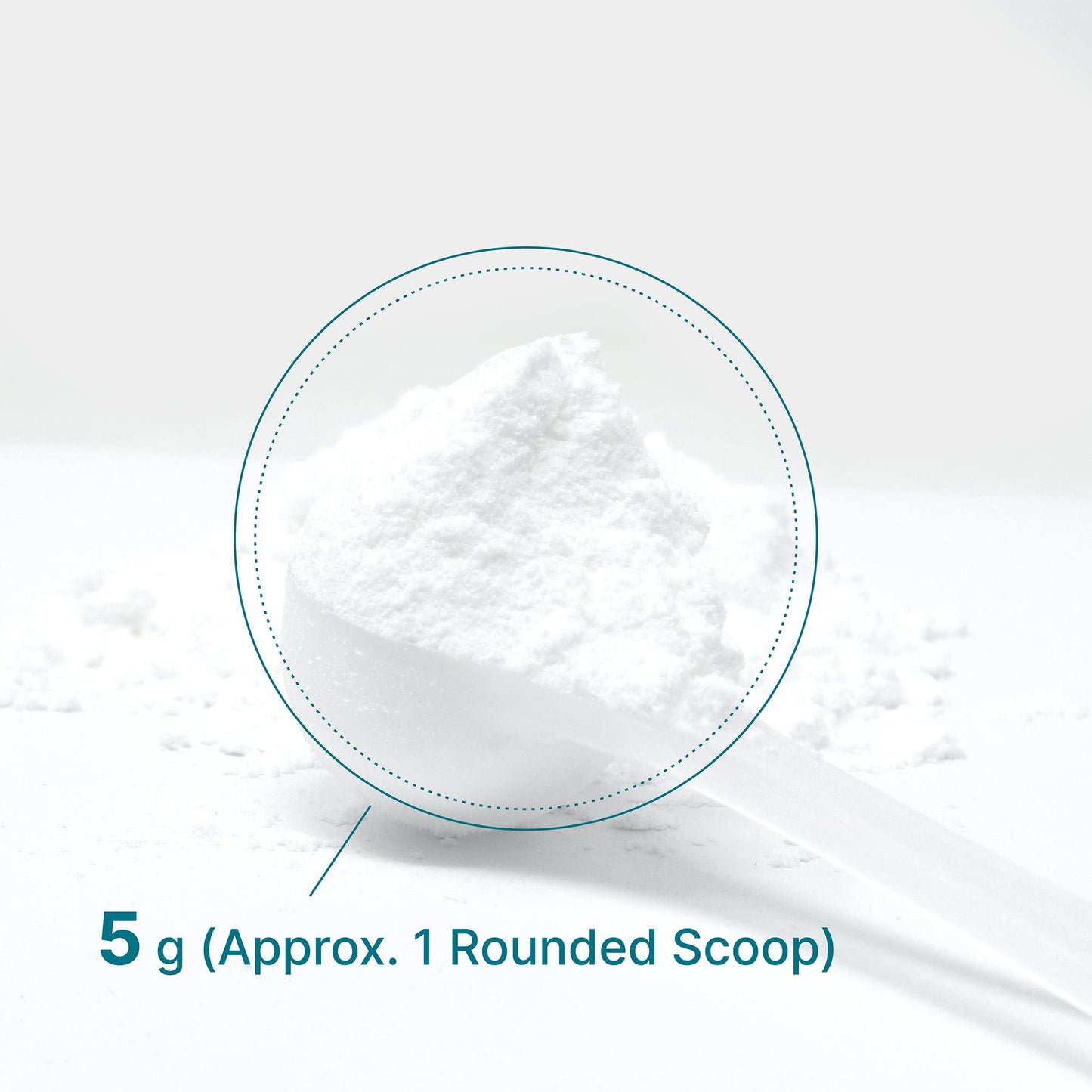 DEAL SUPPLEMENT Instant Creatine Monohydrate Powder, 5g Per Serving – 60 Servings | Micronized, Unflavored, Fast Absorbing Formula