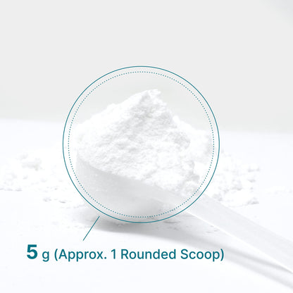 DEAL SUPPLEMENT Instant Creatine Monohydrate Powder, 5g Per Serving – 60 Servings | Micronized, Unflavored, Fast Absorbing Formula