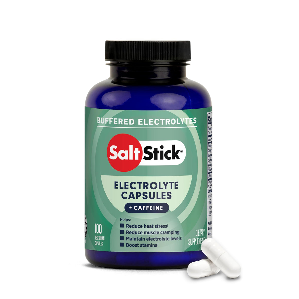 SaltStick Sugar Free Electrolytes Salt Pills 0 Calories 0 Sugar 100 Count