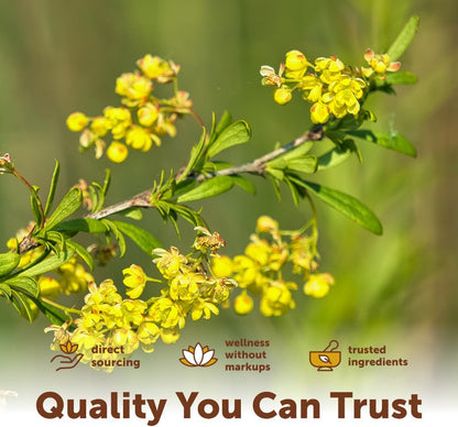 Micro Ingredients Berberine 1000mg with MCT Oil, 240 Softgels | Berberine HCl Supplement | Sourced from Berberis Aristata | Non-GMO, Gluten Free, No Soy