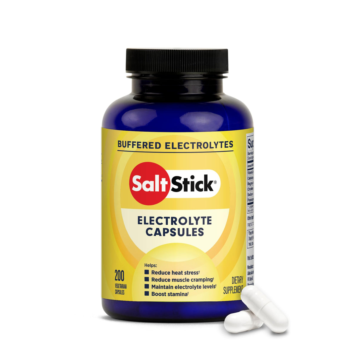 SaltStick Sugar Free Electrolytes Salt Pills 0 Calories 0 Sugar 100 Count