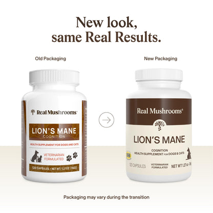 Real Mushrooms Lion’s Mane Pet Mushroom Supplement – Pet Wellbeing Capsules – for Cat & Dog Supplement & Vitamins – Support Mindful Routines – Organic, Vegan, Non-GMO, 120 Count