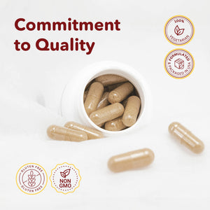 VITASUPPORTMD H Formula Diosmin Hesperidin 1000mg, Horse Chestnut Extract 300mg, Hemorrhoidal Vein Support, Micronized MPFF Bioflavonoids Supplement for Hemorrhoidal Vein Health Support, 60 Capsules VITASUPPORTMDBuy Supplements Australia