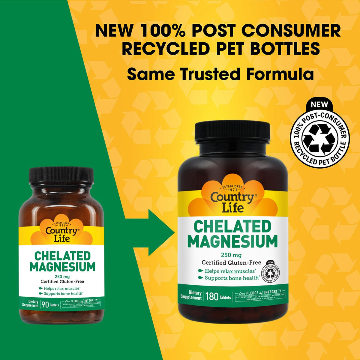 Country Life Chelated Magnesium 250 mg, 240 Tablets