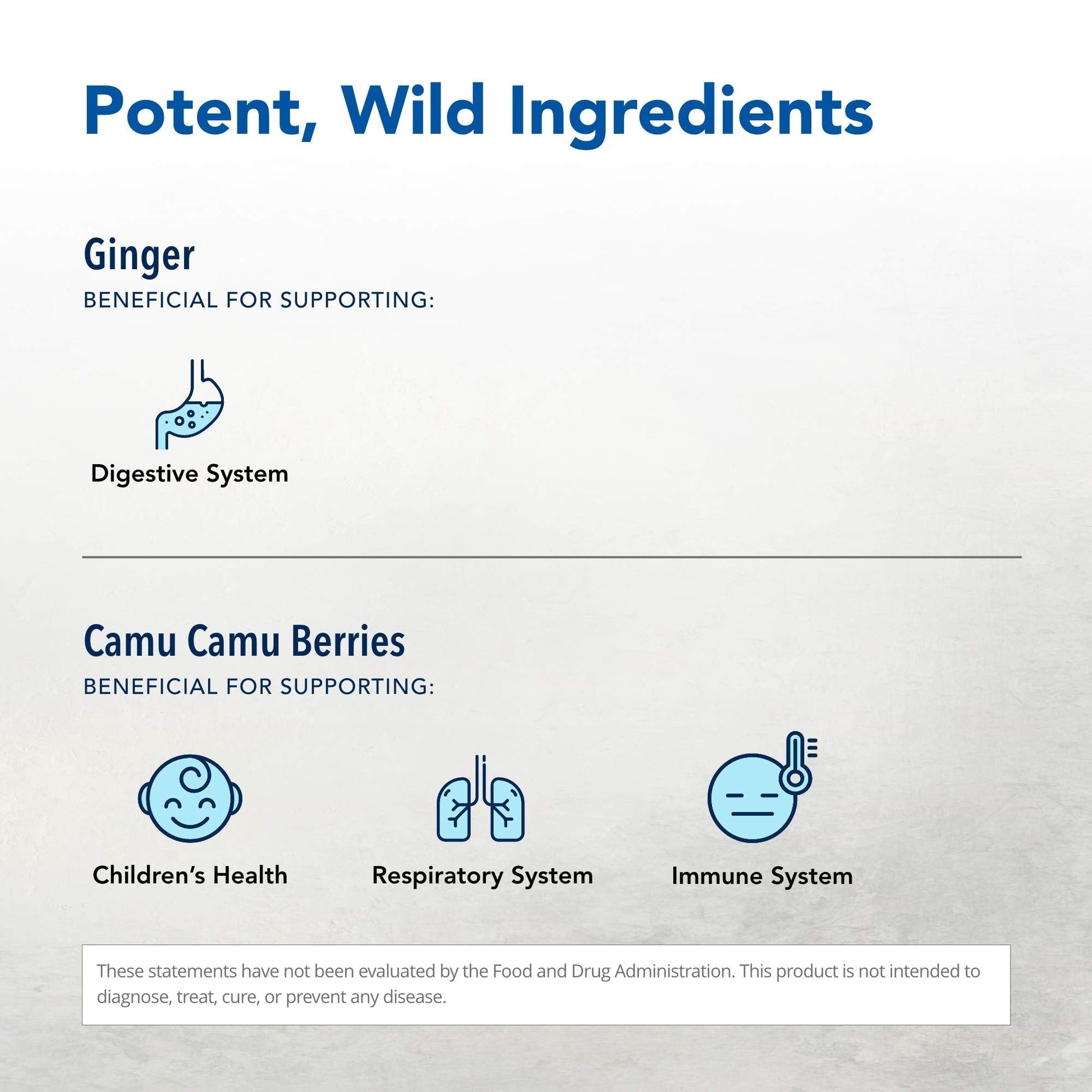 NORTH AMERICAN HERB & SPICE Inflam-eeZ - 90 Capsules - Supports Healthy Immune & Inflammatory Response - Ginger Root, Camu Camu Berries, Bromelain & Papain Plus - Non-GMO - 45 Total Servings NORTH AMERICAN HERB & SPICE buy supplements Au