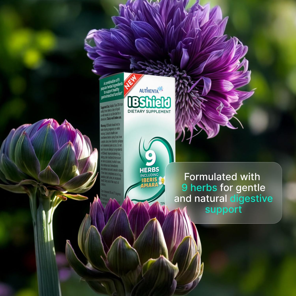 IBShield Tincture 100ml | 6+3=9 Herbs | Iberis Amara, Peppermint, Chamomile, Lemon Balm, Caraway, Licorice, Angelica, Celandine & Mary's Thistle | Original Herbal Formula Supports Digestive Wellness