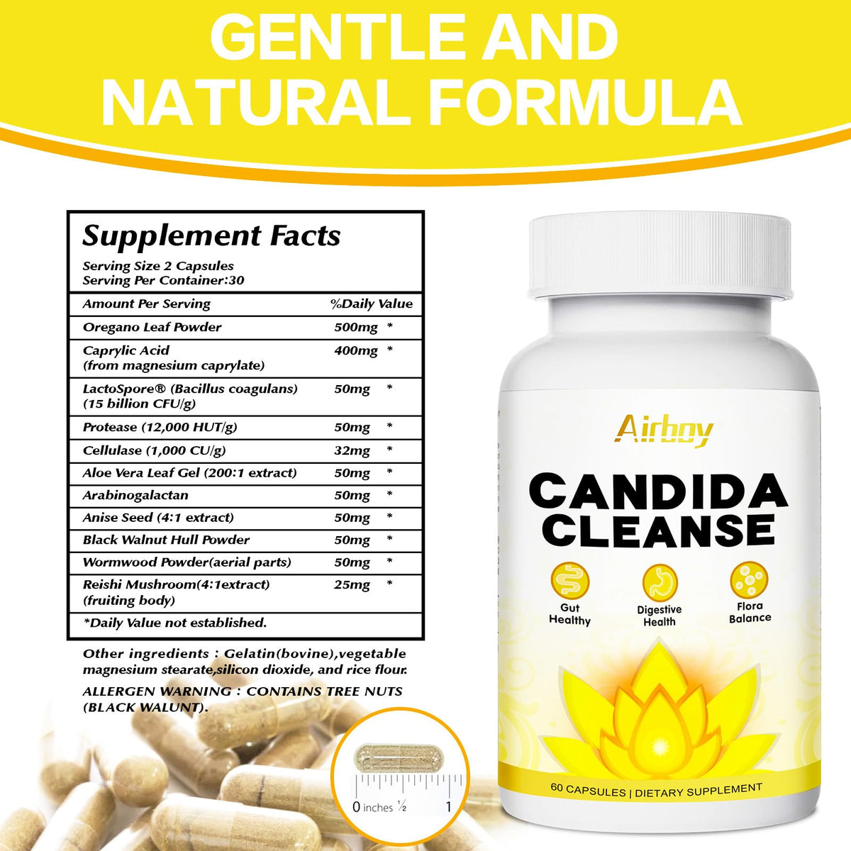 Airboy Candi Support,Gut Colon Cleanse Detox for Women & Men,Candi Support with Oregano Leaf, Caprylic Acid，Wormwood, Black Walnut-60 Counts x 2 Pack