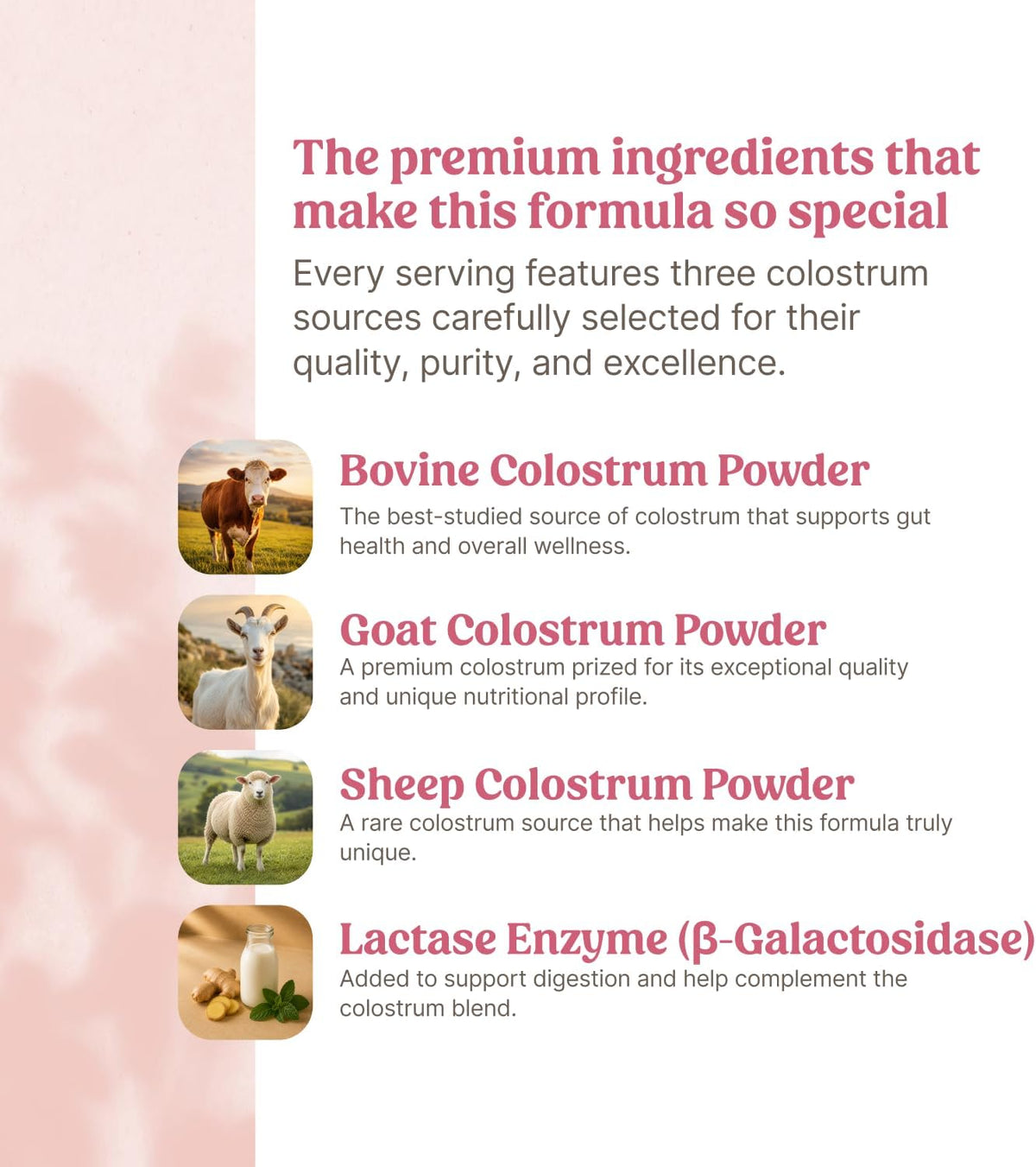 Happy Mammoth Triple Source Colostrum Powder Supplement for Gut Lining Maintenance | High in Immunoglobulins & Lactoferrin | Bovine, Sheep, Goat | Grass-Fed, European Ethical Sourced |24 Servings