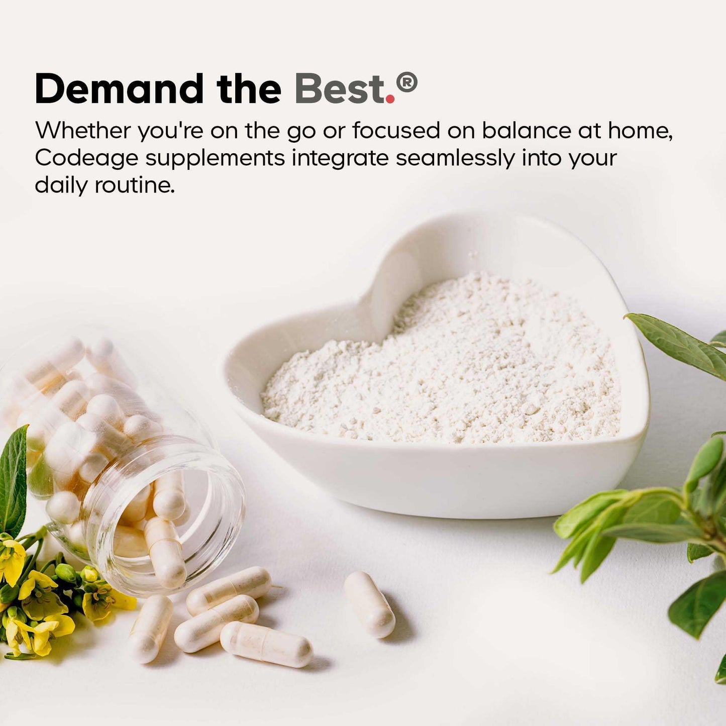 Codeage Akkermansia Synbiotic Supplement - 100 Million AFU Akkermansia Probiotic & Chicory Inulin Prebiotic - Chicory Root - 1 Capsule Per Serving - Non-GMO, Gluten-Free - 30 Capsules CodeageBuy Supplements Australia