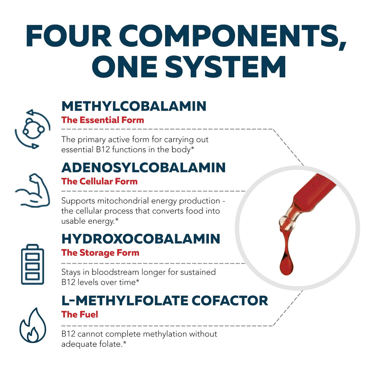 BioActive Vitamin B12 - 5000 mcg, Contains 3 BioActive Forms Methylfolate Cofactor - Methyl B12, Adenosyl B12 & Hydroxy B12 | Supports Energy, Metabolism & Mood | Vegan, Non-GMO (60 Servings)