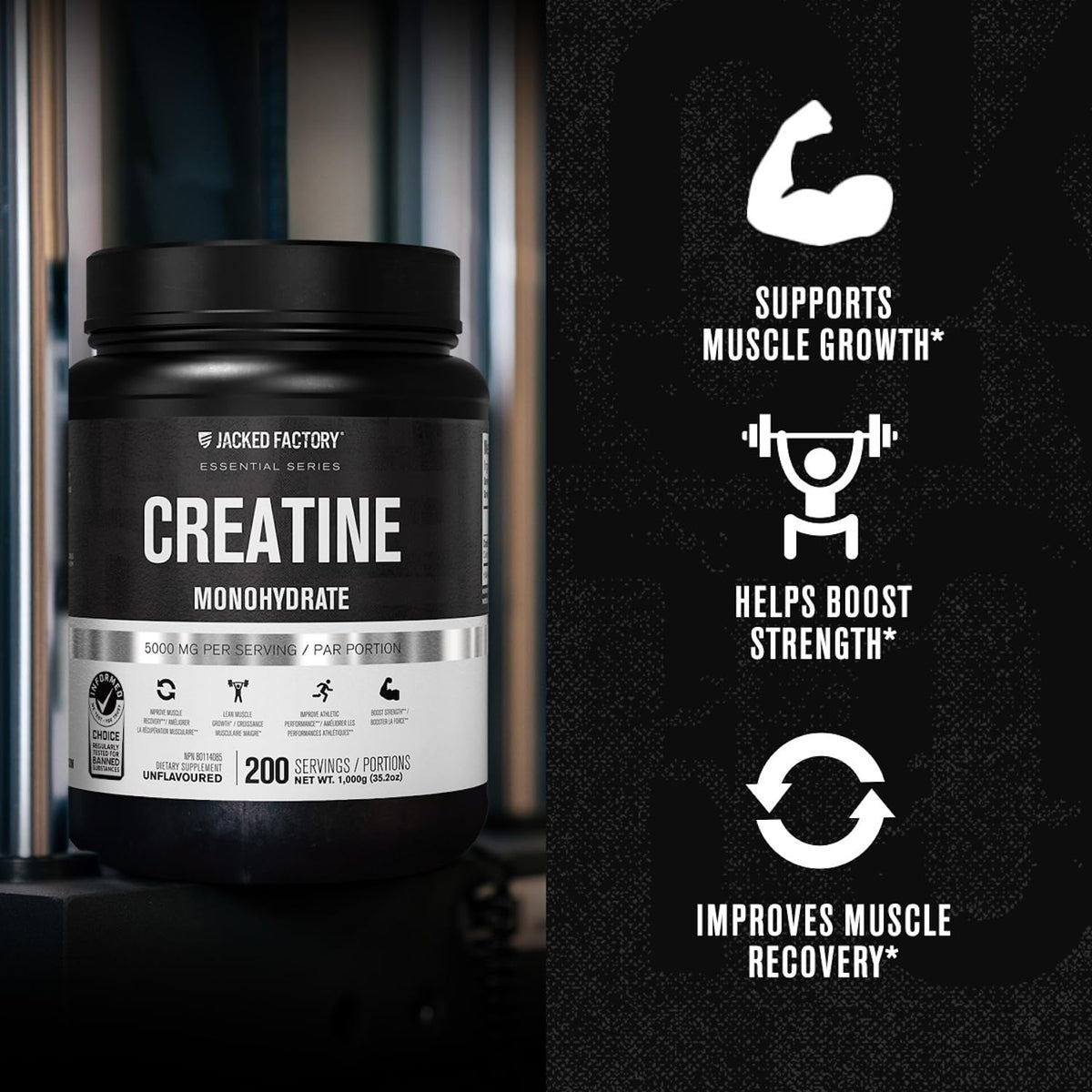 Suplement ​Jacked Factory Creatine Monohydrate Powder 1000g - 5g Daily Creatine Supplement for Men and Women, Vegan-Friendly, VelvetGlow USA