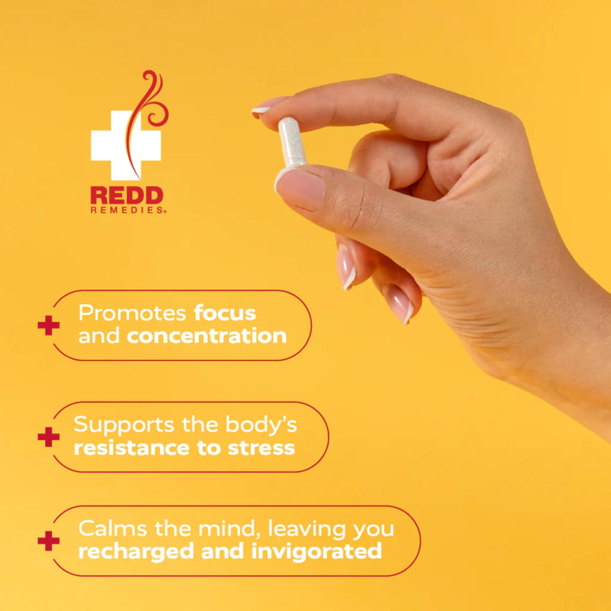 Redd Remedies, At Ease, Supports Relaxation and Stress Resistance, 80 Vegan Capsules