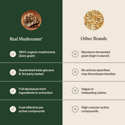 Real Mushrooms Turkey Tail Mushroom Powder – Organic Mushroom Extract for Daily Wellness Gut Harmony, & Energy Support with Beta Glucans – Vegan, Non-GMO, 45 Servings Functional Supplement