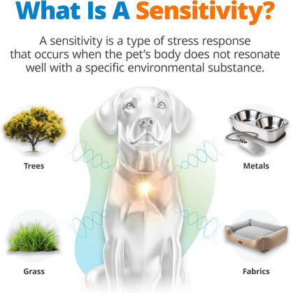 5Strands Pet Heavy Metal Sensitivity Test, Health Check for Dogs & Cats