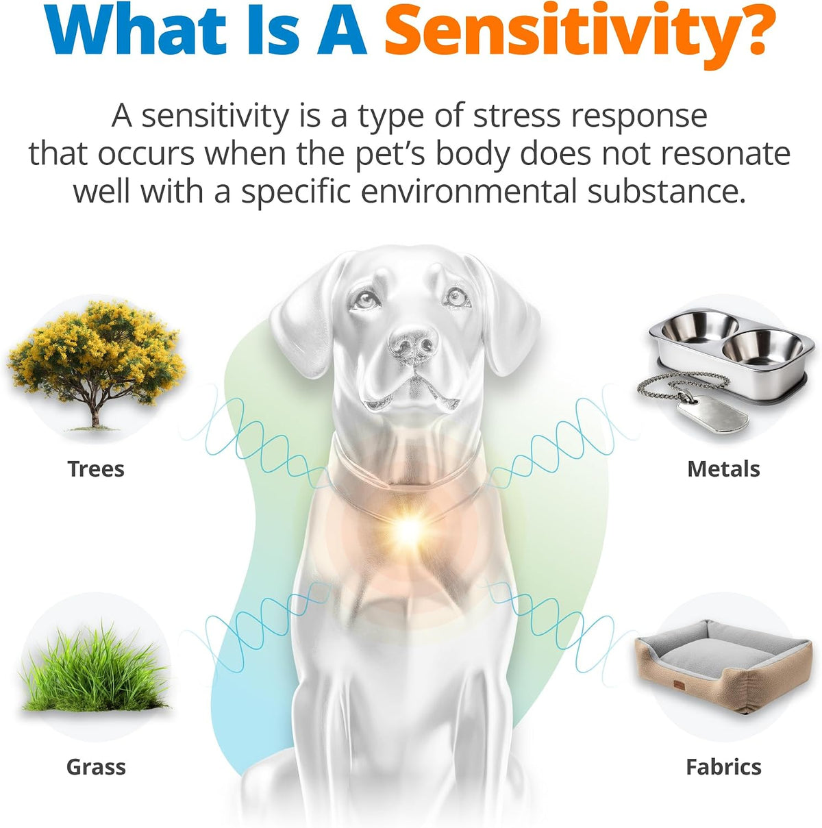 5Strands Pet Environmental Sensitivity Test for Skin Health