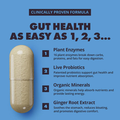 Gains in Bulk Total Digest Digestive Enzymes with Probiotics, 270 Capsules